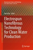 Electrospun Nanofibrous Technology for Clean Water Production (eBook, PDF)