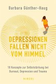 Depressionen fallen nicht vom Himmel (eBook, PDF)