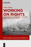 Working on Rights (eBook, ePUB)
