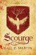 Scourge (Darkhurst, #1) (eBook, ePUB) - Bild 1