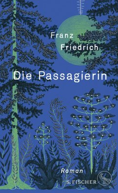 Die Passagierin (eBook, ePUB) - Friedrich, Franz