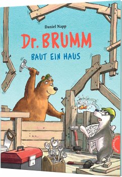 Dr. Brumm: Dr. Brumm baut ein Haus (Mängelexemplar) - Napp, Daniel