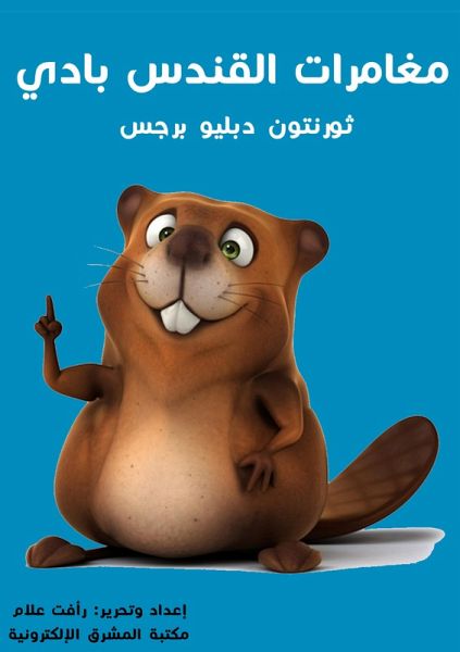 Participation (eBook, ePUB)