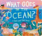 What Goes in the Ocean? (eBook, ePUB)