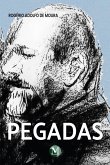 PEGADAS (eBook, ePUB)