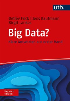 Big Data? Frag doch einfach! (eBook, ePUB) - Frick, Detlev; Kaufmann, Jens; Lankes, Birgit