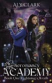 Lightning's Wrath (Aeromancy Academy, #1) (eBook, ePUB) Lightning's Wrath (Aeromancy Academy, #1) (eBook, ePUB)