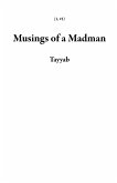 Musings of a Madman (1, #1) (eBook, ePUB)