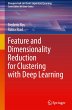 Feature and Dimensionality Reduction... - Bild 1
