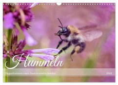 Hummeln - Flugaufnahmen eines faszinierenden Insekts (Wandkalender 2024 DIN A3 quer), CALVENDO Monatskalender