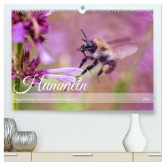 Hummeln - Flugaufnahmen eines faszinierenden Insekts (hochwertiger Premium Wandkalender 2024 DIN A2 quer), Kunstdruck in Hochglanz - Calvendo;Müller, Christian