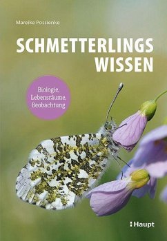 Schmetterlingswissen - Possienke, Mareike