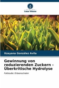 Gewinnung von reduzierenden Zuckern - Überkritische Hydrolyse - González Avila, Itzayana