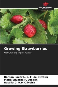 Growing Strawberries - L. S. F. de Oliveira, Darllan Junior;F. Otoboni, Maria Eduarda;R.M.Oliveira, Natália G.