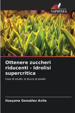 Ottenere zuccheri riducenti - Idrolisi supercritica - González Avila, Itzayana