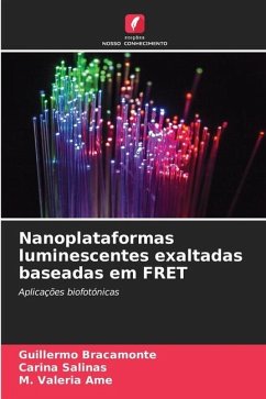 Nanoplataformas luminescentes exaltadas baseadas em FRET - Bracamonte, Guillermo;Salinas, Carina;Ame, M. Valeria