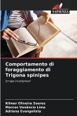 Comportamento di foraggiamento di Trigona spinipes