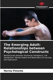 The Emerging Adult: Relationships between Psychological Constructs