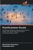 Pianificazione fiscale