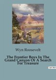 The Frontier Boys In The Grand Canyon Or A Search For Treasure