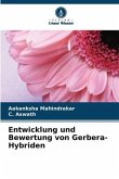 Entwicklung und Bewertung von Gerbera-Hybriden