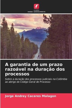 A garantia de um prazo razoável na duração dos processos - Caceres Malagon, Jorge Andrey