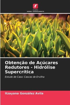 Obtenção de Açúcares Redutores - Hidrólise Supercrítica - González Avila, Itzayana