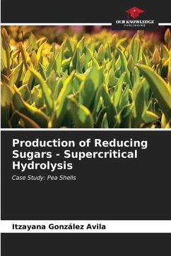 Production of Reducing Sugars - Supercritical Hydrolysis - González Avila, Itzayana