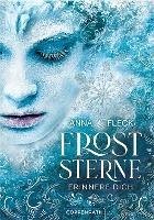 Froststerne (Bd. 1) (eBook, ePUB) - Fleck, Anna