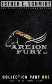 Areion Fury MC Collection Part One (eBook, ePUB)