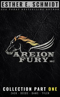 Areion Fury MC Collection Part One (eBook, ePUB) - Schmidt, Esther E.