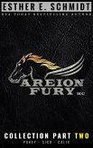 Areion Fury MC Collection Part Two (eBook, ePUB)