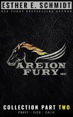 Areion Fury MC Collection Part Two (eBook, ePUB) Areion Fury MC Collection Part Two (eBook, ePUB)