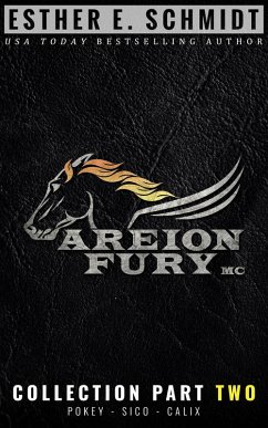 Areion Fury MC Collection Part Two (eBook, ePUB) - Schmidt, Esther E.