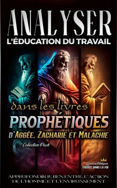 Cover Analyser L'éducation du Travail dans les Livres prophétiques d'Aggée, Zacharie et Malachie (L'éducation au Travail dans la Bible, #21) (eBook, ePUB)