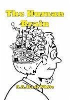 The Human Brain (Lost Between Details, #3) (eBook, ePUB) - White, A. A. Hadi