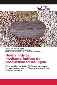 Huella hídrica, mediante índices de productividad del agua - Ríos Flores, José Luis;Armendáriz Erives, Sigifredo;Azpilcueta Ruiz-Esparza, Manuel De Jesús