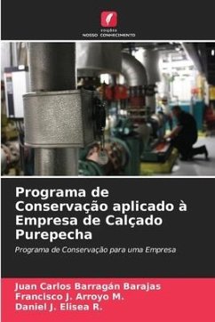 Programa de Conservação aplicado à Empresa de Calçado Purepecha - Barragán Barajas, Juan Carlos;Arroyo M., Francisco J.;Elisea R., Daniel J.