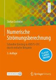 Numerische Strömungsberechnung (eBook, PDF)