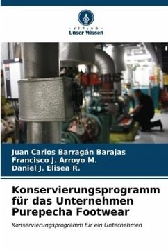 Konservierungsprogramm für das Unternehmen Purepecha Footwear - Barragán Barajas, Juan Carlos;Arroyo M., Francisco J.;Elisea R., Daniel J.