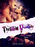 Thrilling Destiny (eBook, ePUB)