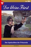 Das Spukschloss der Prinzessin (eBook, ePUB)