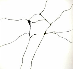 Cover Corazon Kintsugi