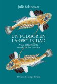 Un fulgor en la oscuridad (eBook, ePUB)