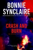 Crash And Burn (FBI: Criminal Profilers, #1) (eBook, ePUB)