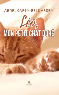 Léo, mon petit chat doré (eBook, ePUB) - Belkassem, Abdelkarim