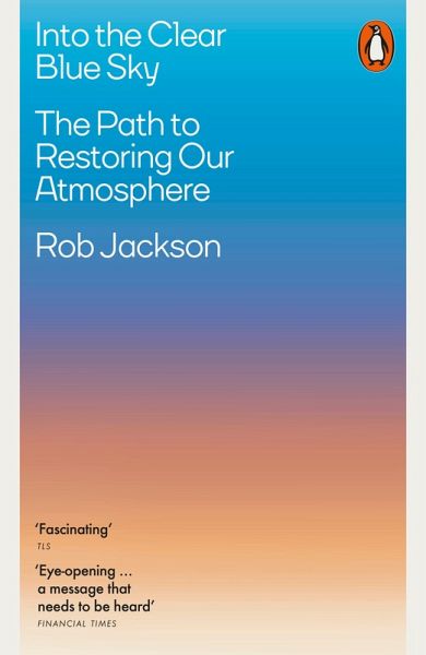 Into the Clear Blue Sky (eBook, ePUB) Into the Clear Blue Sky (eBook, ePUB)