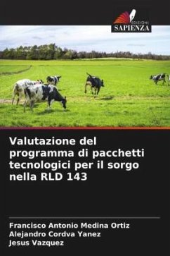 Valutazione del programma di pacchetti tecnologici per il sorgo nella RLD 143 - Medina Ortiz, Francisco Antonio;Córdva Yanez, Alejandro;Vázquez, Jesús