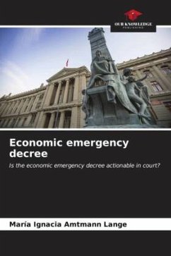 Economic emergency decree - Amtmann Lange, María Ignacia