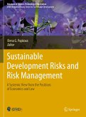 Sustainable Development Risks and Risk Management (eBook, PDF)
